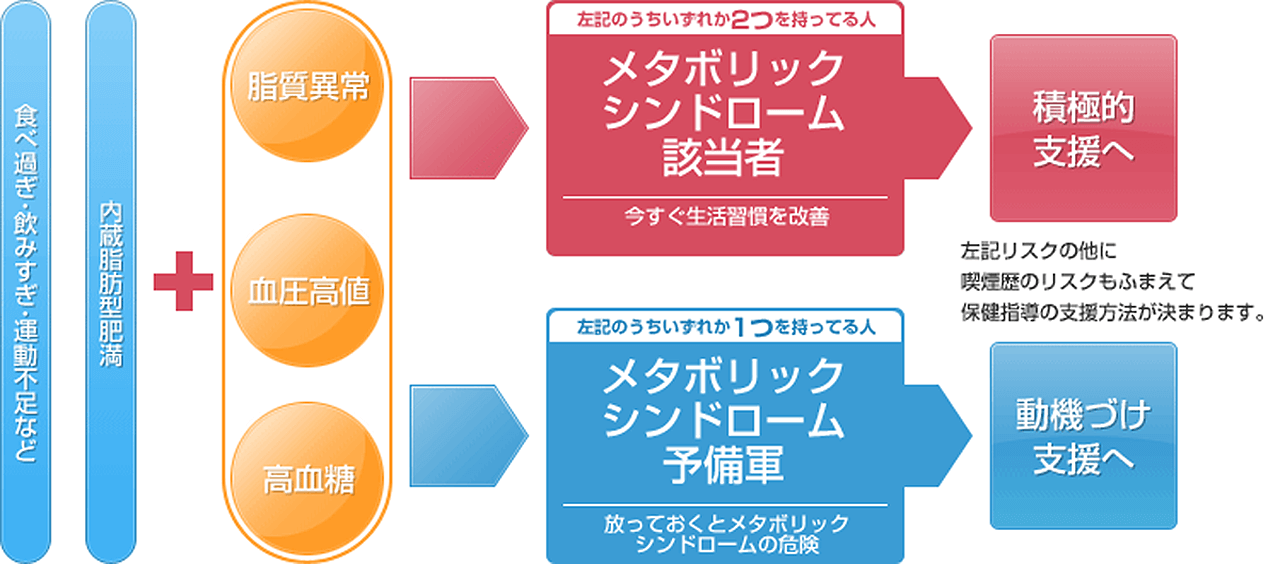 あなたはメタボリックシンドロームの予備軍？該当者？